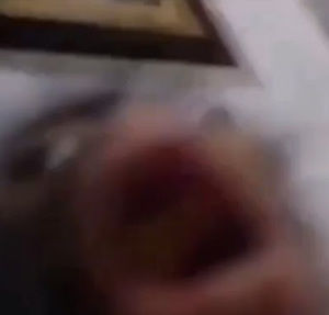 Meet your Posher, The one